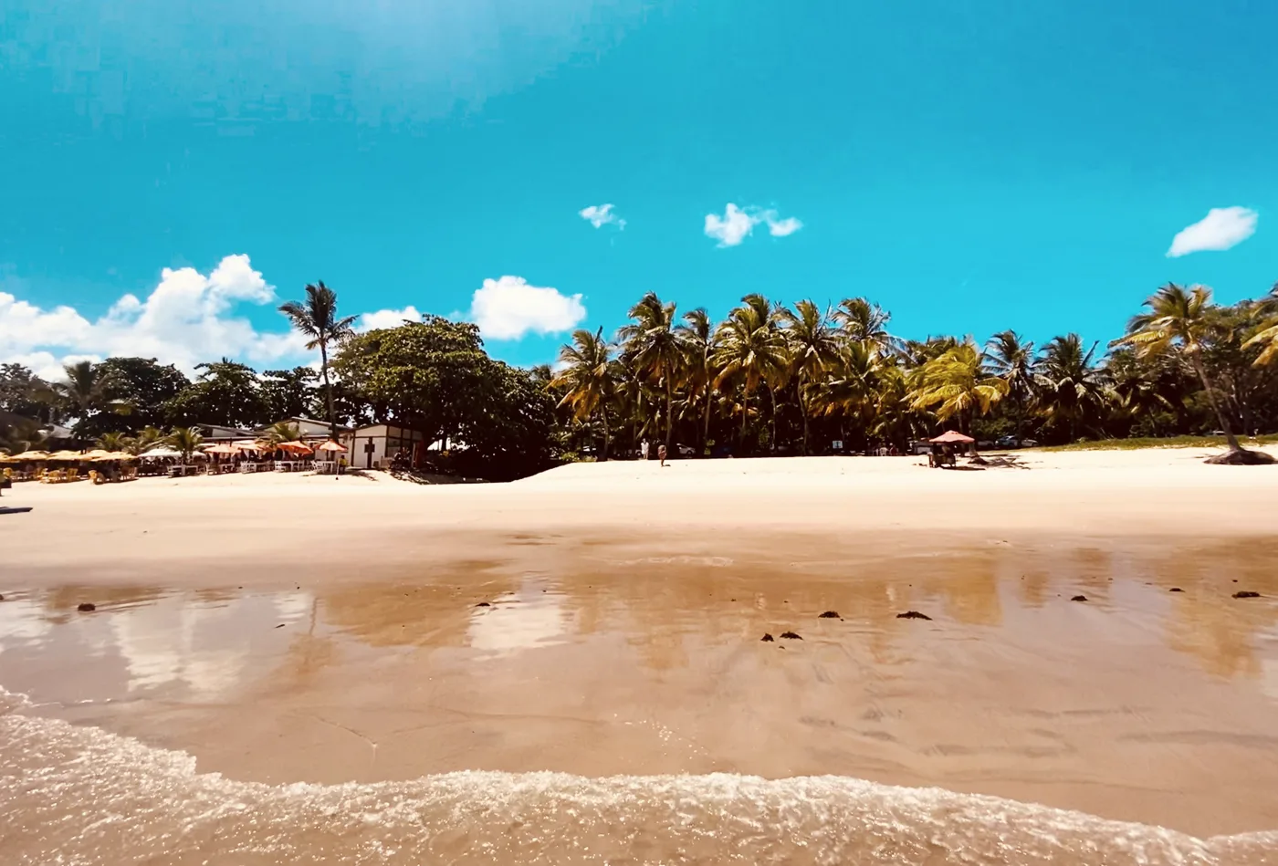 Praia de Taperapuã, em Porto Seguro, com coqueiros e barracas na areia
